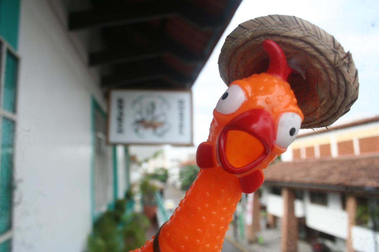 Casa Kraken Hostel 巴亞爾塔港 外观 照片