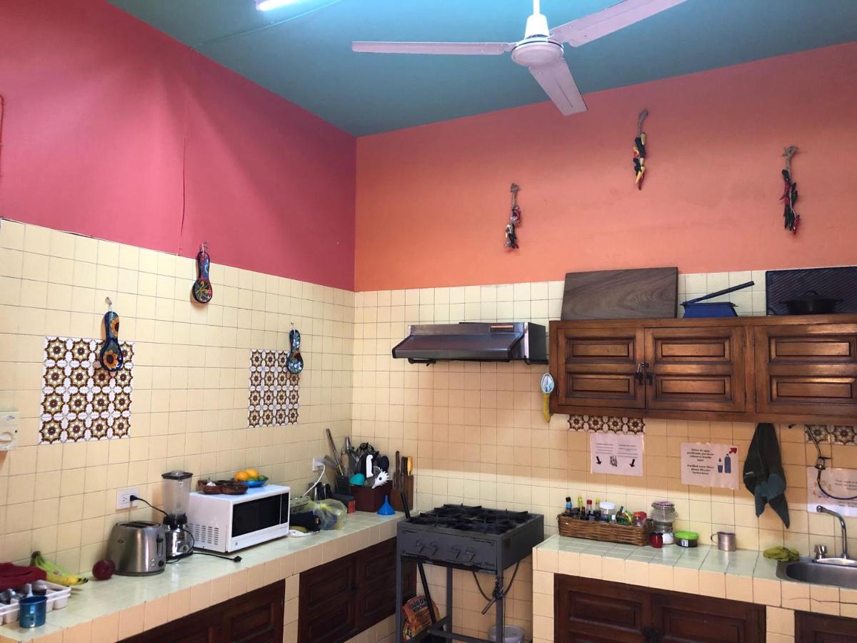 Casa Kraken Hostel 巴亞爾塔港 外观 照片