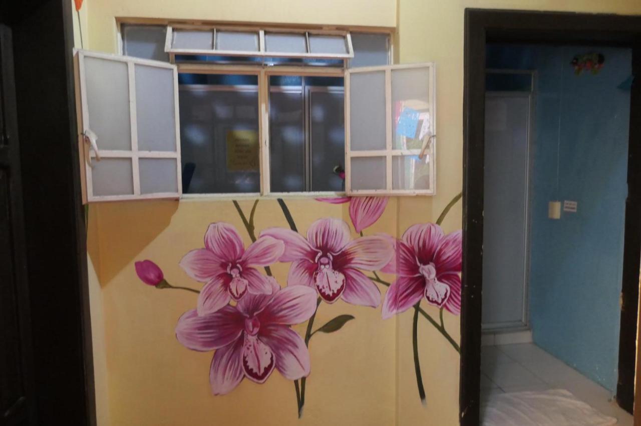 Casa Kraken Hostel 巴亞爾塔港 外观 照片