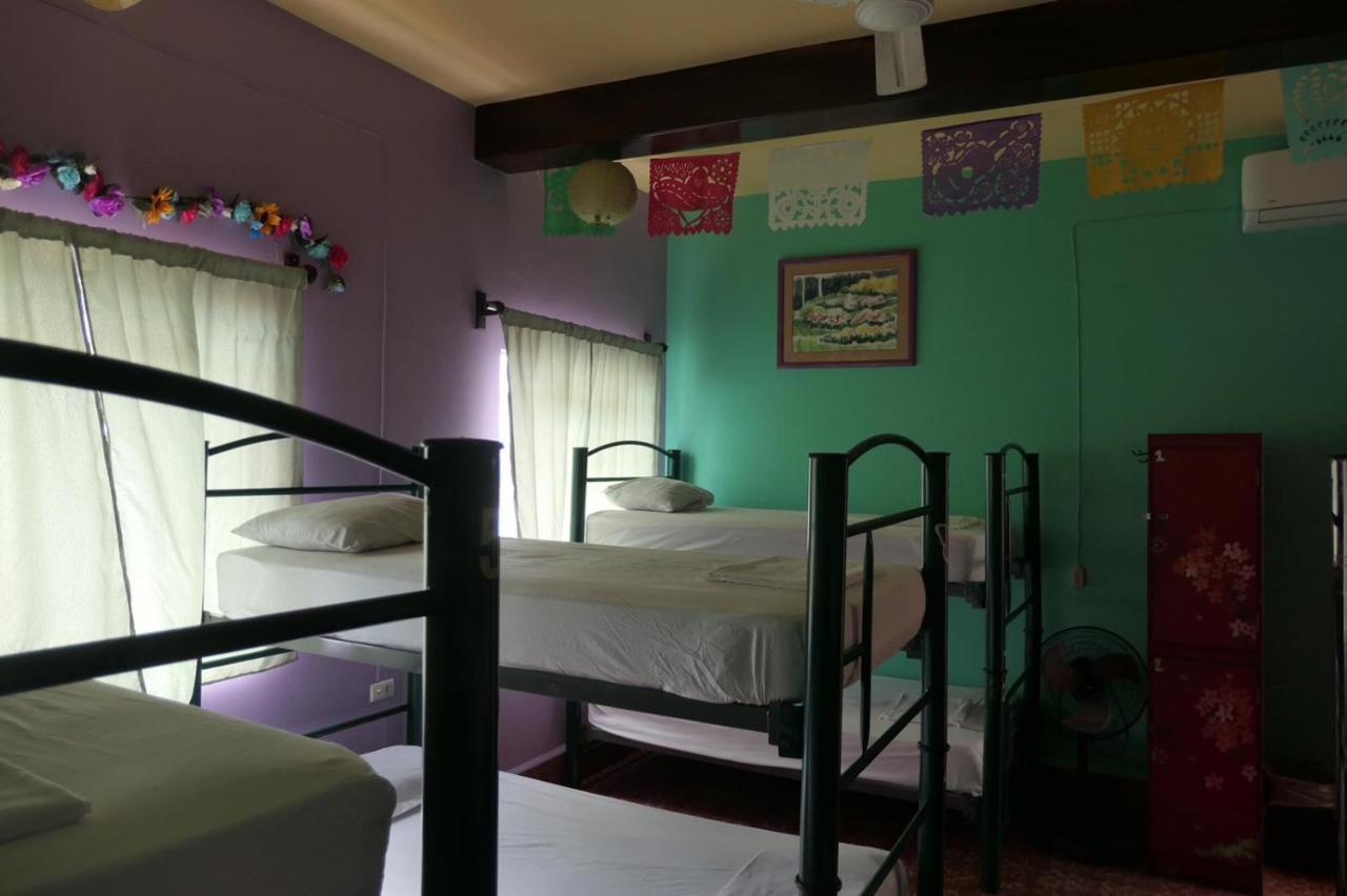 Casa Kraken Hostel 巴亞爾塔港 外观 照片
