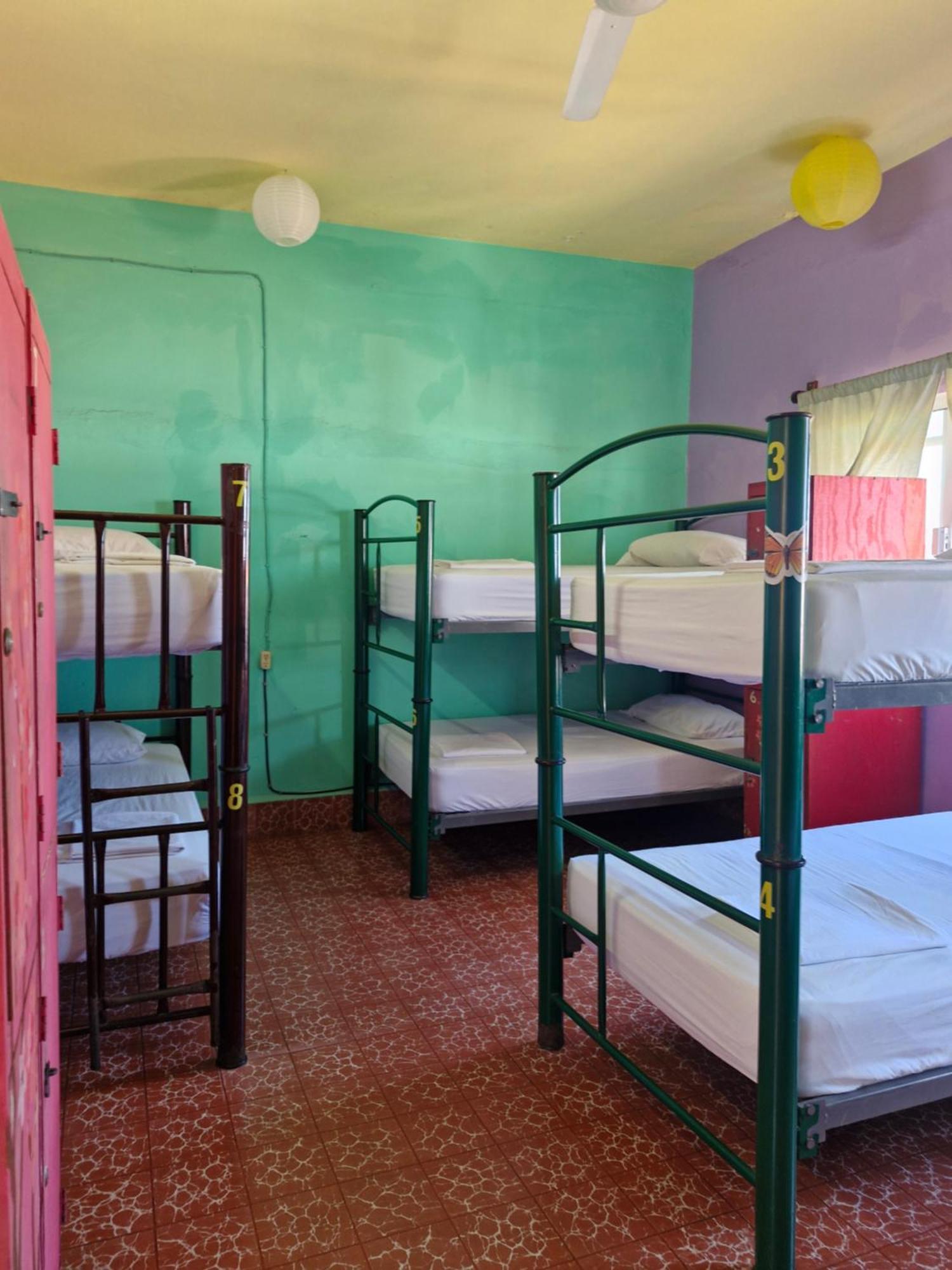 Casa Kraken Hostel 巴亞爾塔港 外观 照片