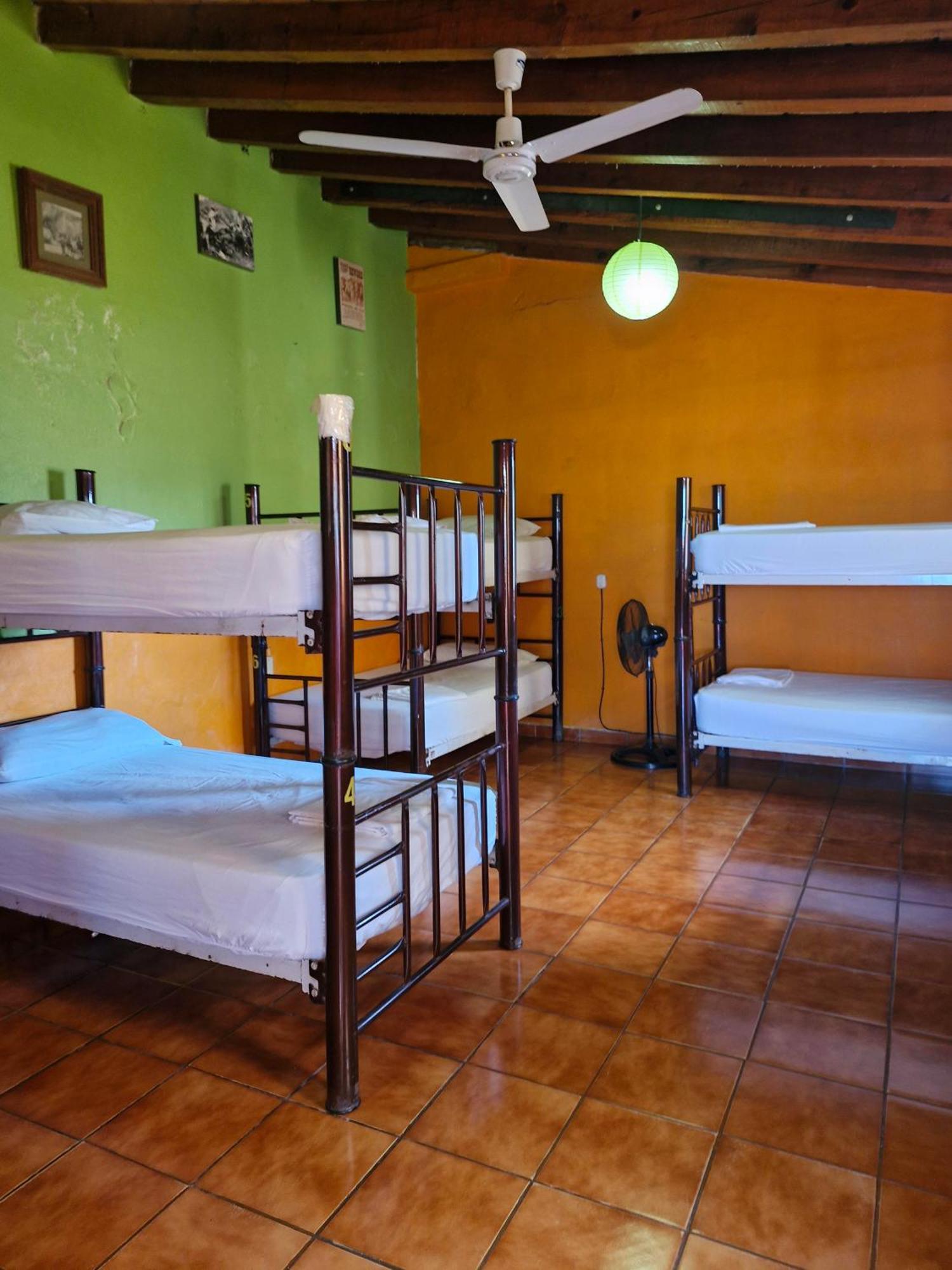 Casa Kraken Hostel 巴亞爾塔港 外观 照片