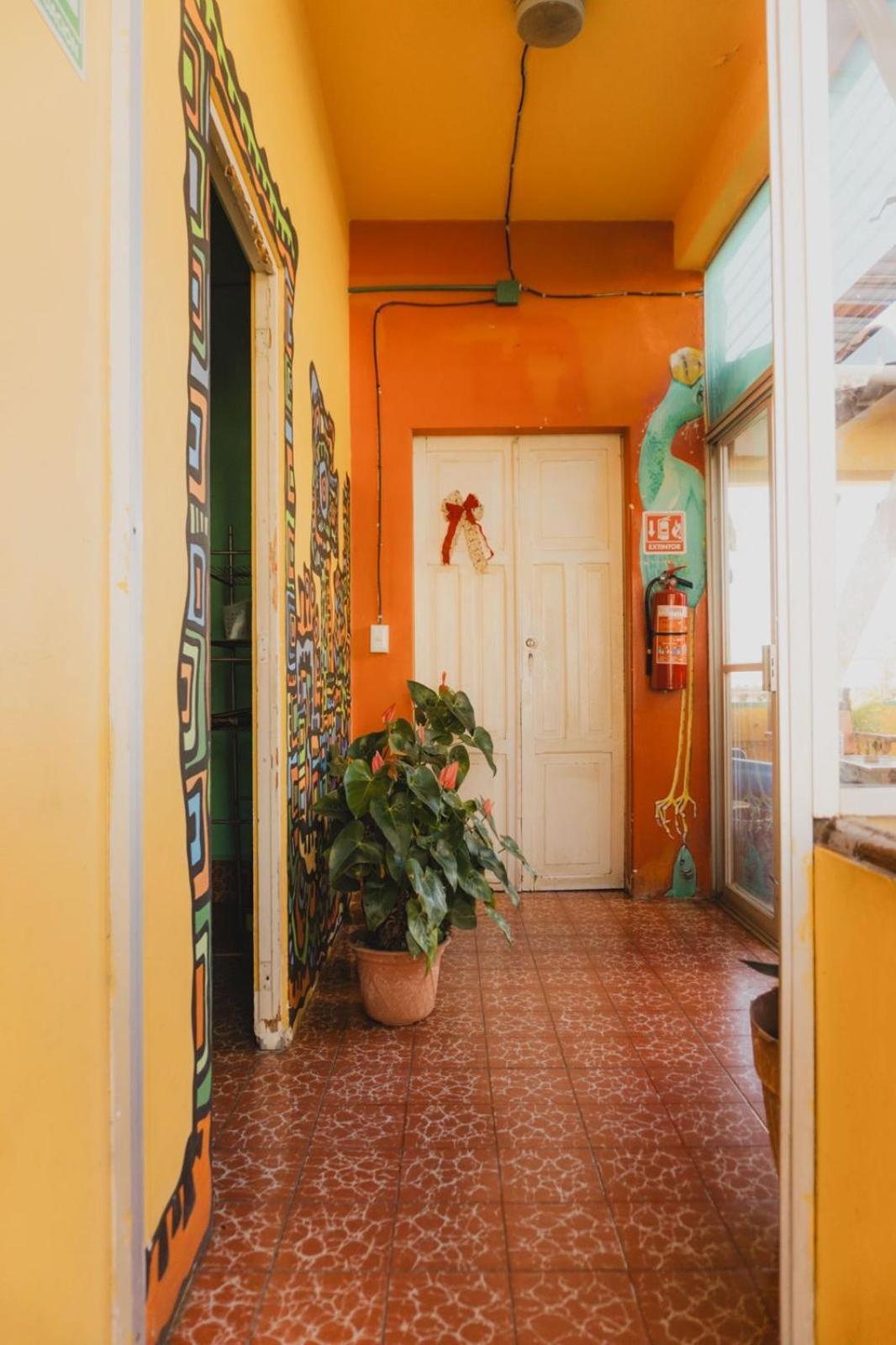 Casa Kraken Hostel 巴亞爾塔港 外观 照片